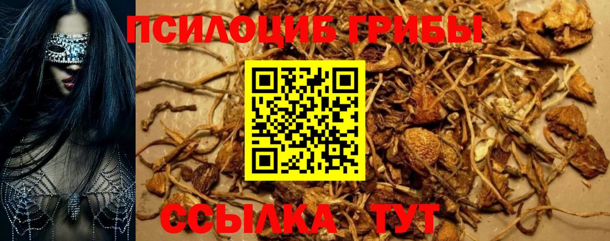Псилоцибиновые грибы Magic Shrooms Строитель